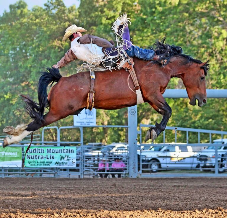 461792594 18459069313013777 2577751328470968518 n 768x739