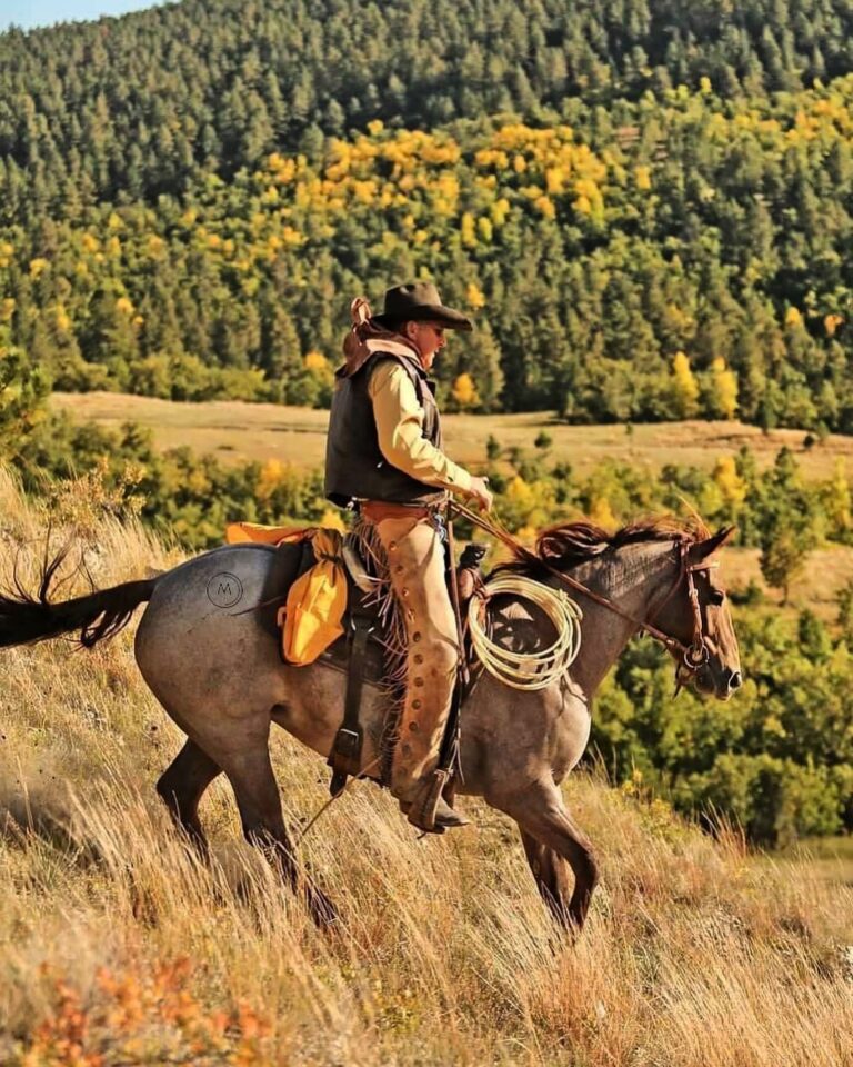 461934296 18459702583013777 4125217086559306078 n 768x960