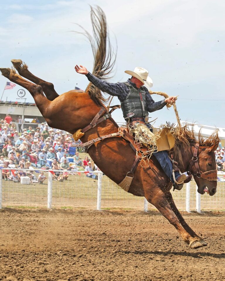 461987494 18459734053013777 713924234723782838 n 768x960