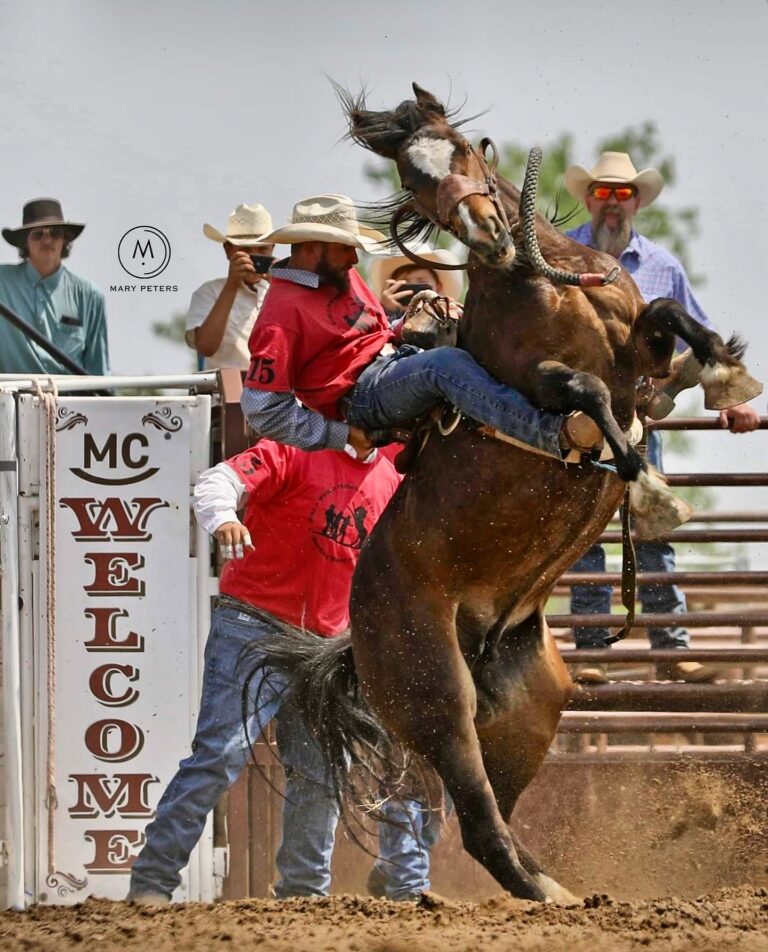 464461416 18464604109013777 6827087483027696222 n 768x952