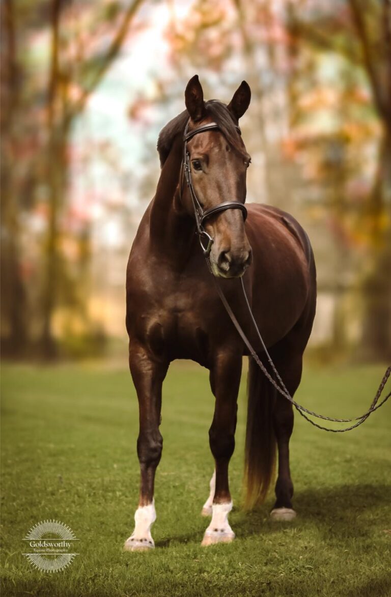 464876136 122148752198287703 6989859161471769837 n 768x1173