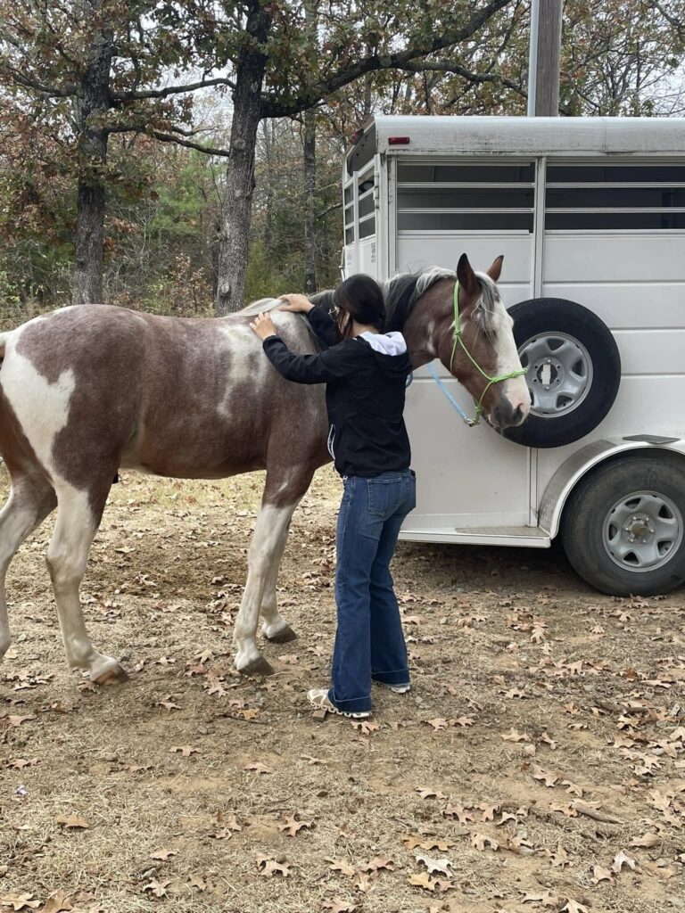 465359848 122155214804284702 1276362151704898938 n 768x1024