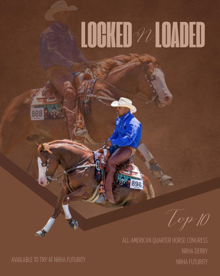 465450810 122213139812032279 1872166711633014215 n 768x960