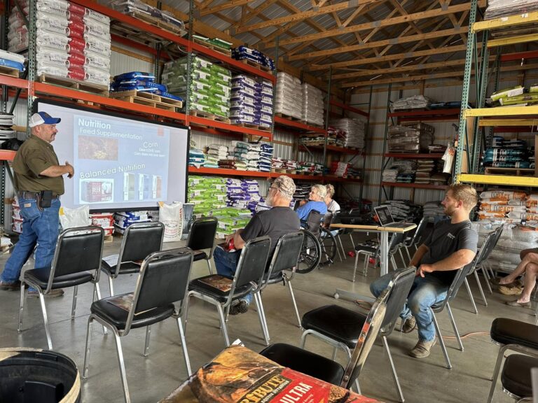 465589629 1090036829791394 1674393180992097179 n 768x576