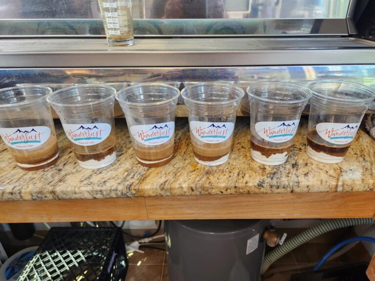 467118231 18363056380184724 4062854906039341709 n 768x576