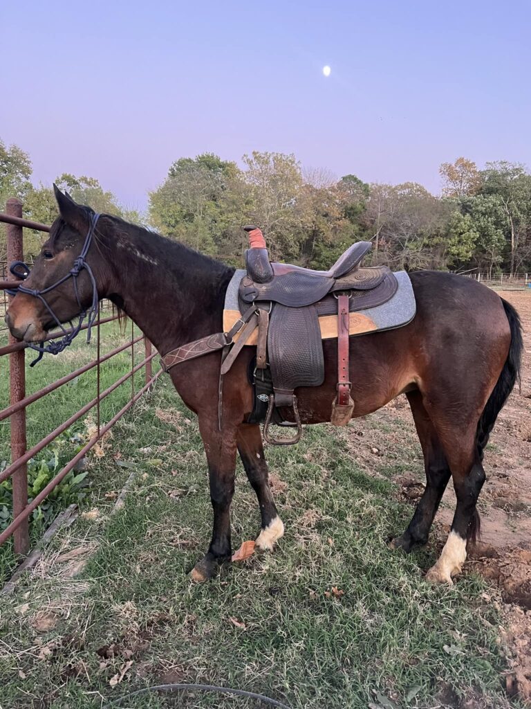 467249350 122157421790284702 5217820655947603845 n 768x1024