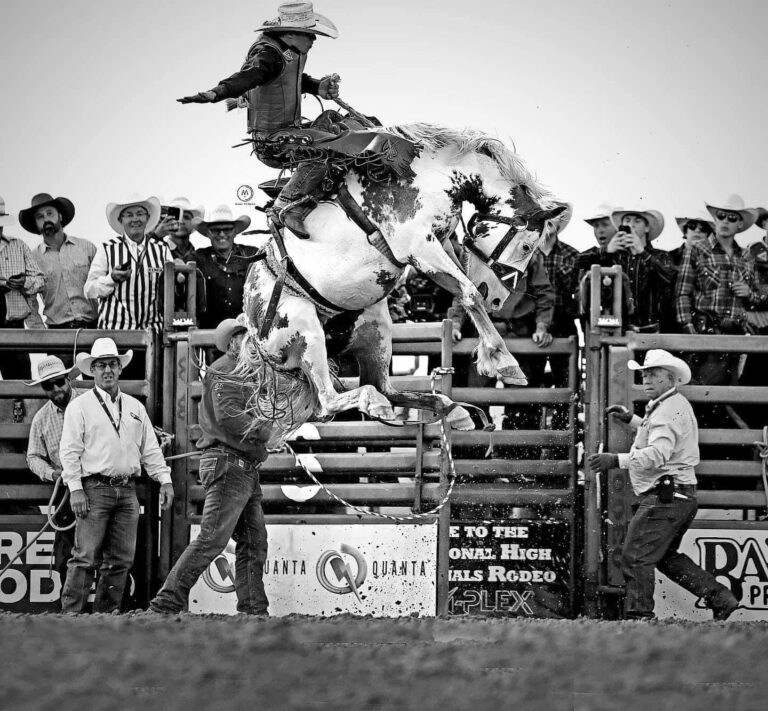 467458268 1125439515610516 1427061871752291752 n 768x711