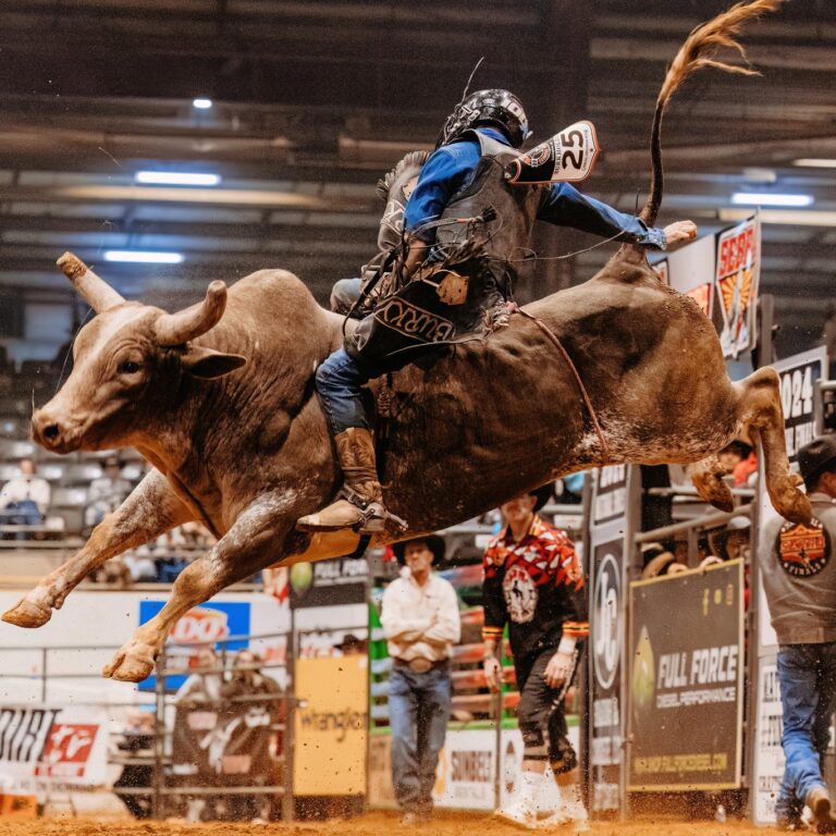 467581655 1093477432788121 1044928745216661058 n 768x768