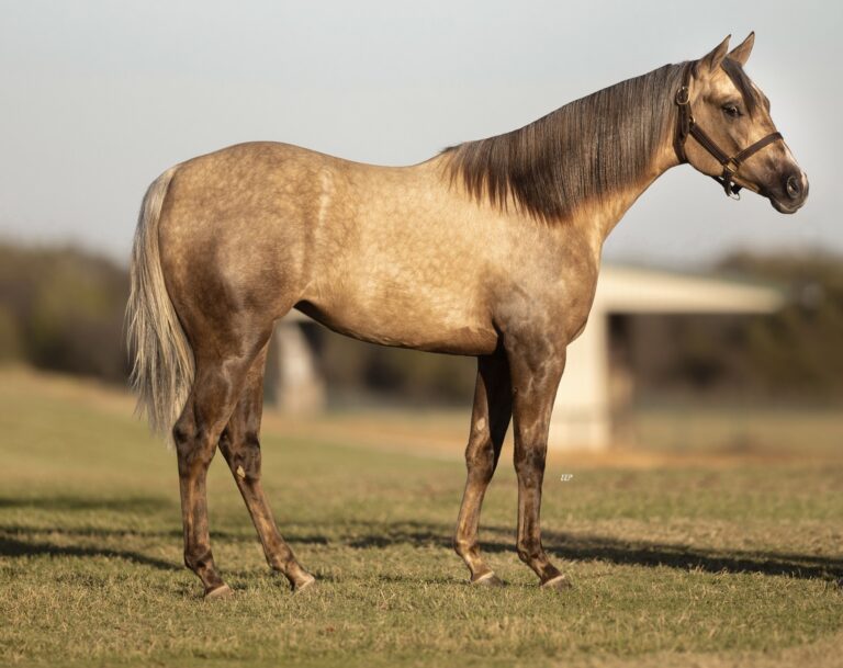 467772649 435100632974223 5053951956436132722 n 768x609