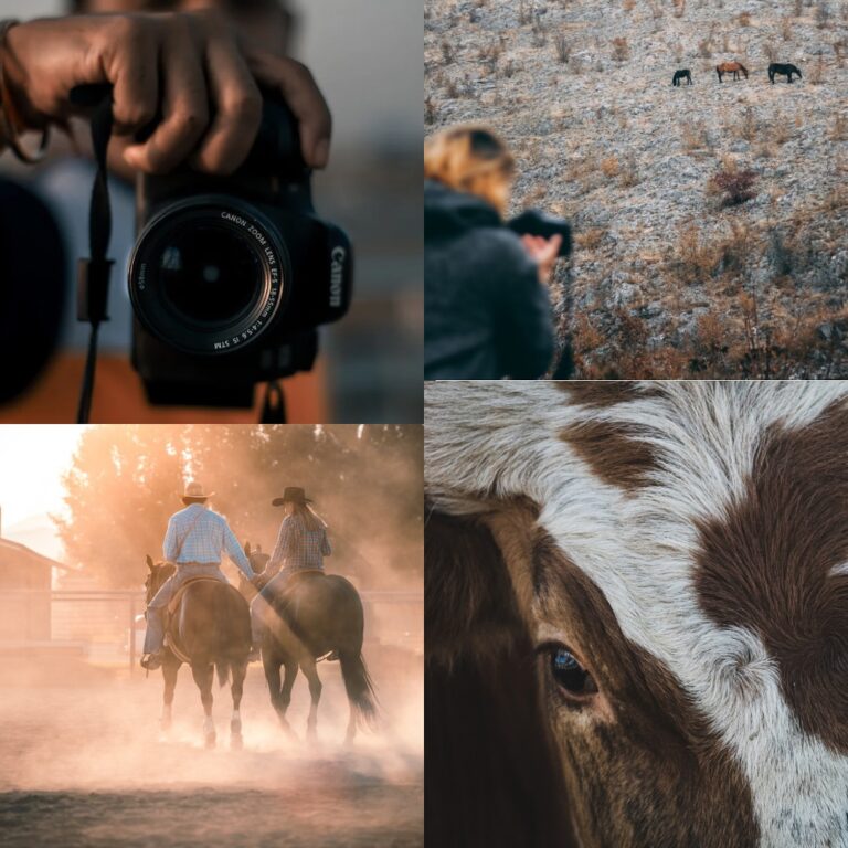 468140176 17922624308996513 9213142988015684237 n 768x768