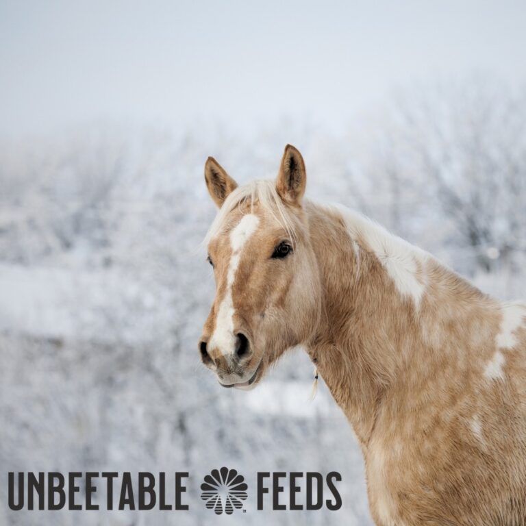 468336632 595898066290738 4131687807107808925 n 768x768