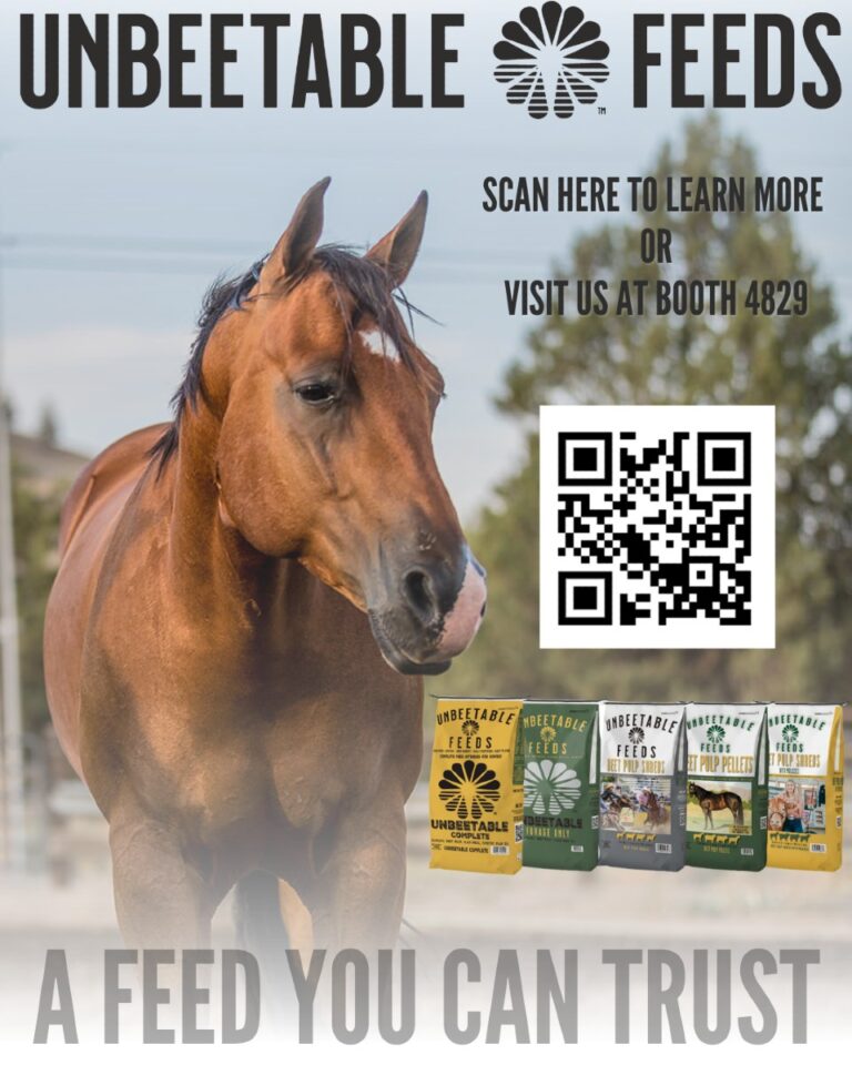 468503838 597905802756631 3474005063292425906 n 768x960