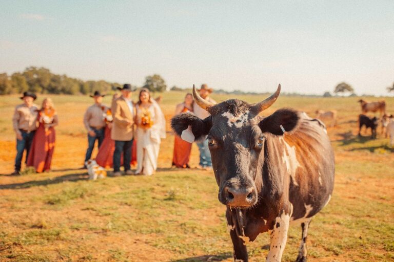 468622009 122110286264616654 5022544239390142251 n 768x512