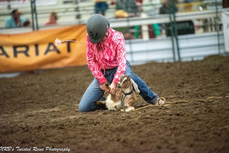 468855508 122166660788267874 7884760752570815489 n 768x513