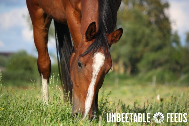 468943208 602695435611001 8196567353502617883 n 768x512