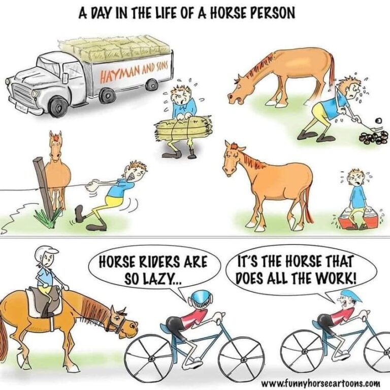 469095423 122166651056267874 4003621313455832129 n 768x768