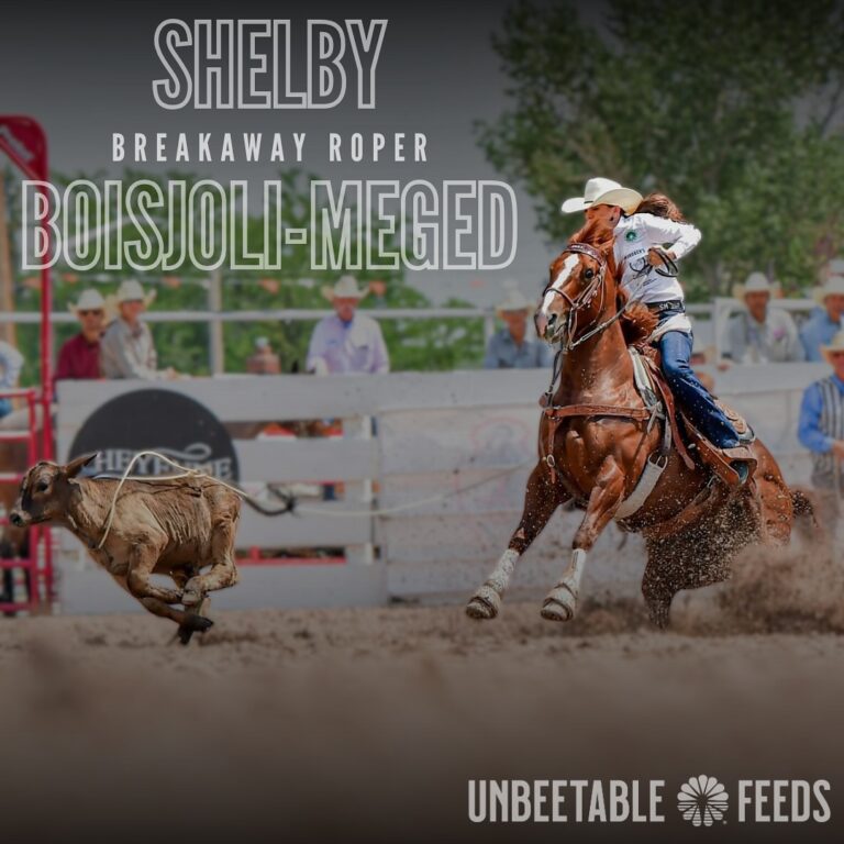 469203603 18003804896691751 3299352086678713732 n 768x768