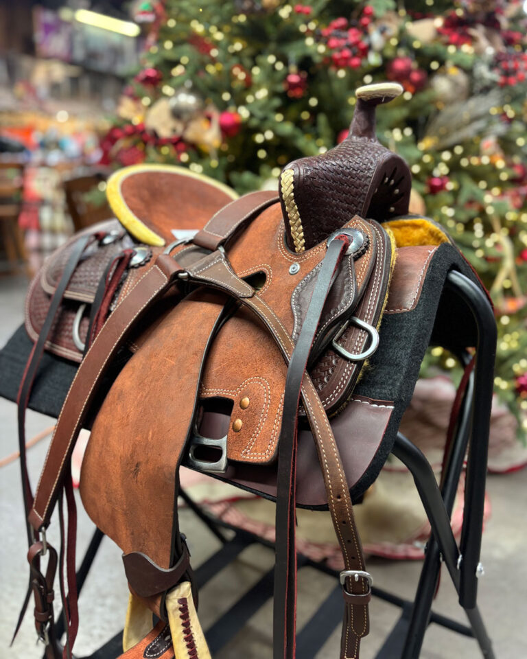 469228992 1000706205433246 3849708407365762496 n 768x960