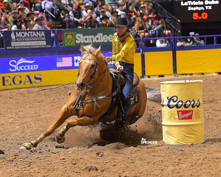 469374063 18023372954560967 8116610729078366543 n 768x614