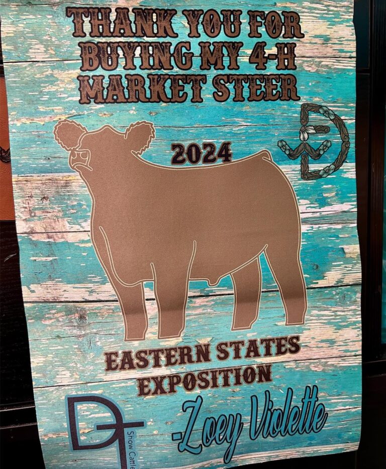 469407606 122131133294459057 6362906132670976194 n 768x934