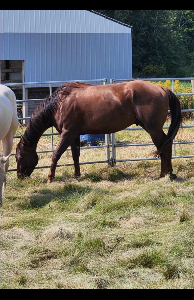 469547400 122128695656469018 5640731717662899131 n 768x1184