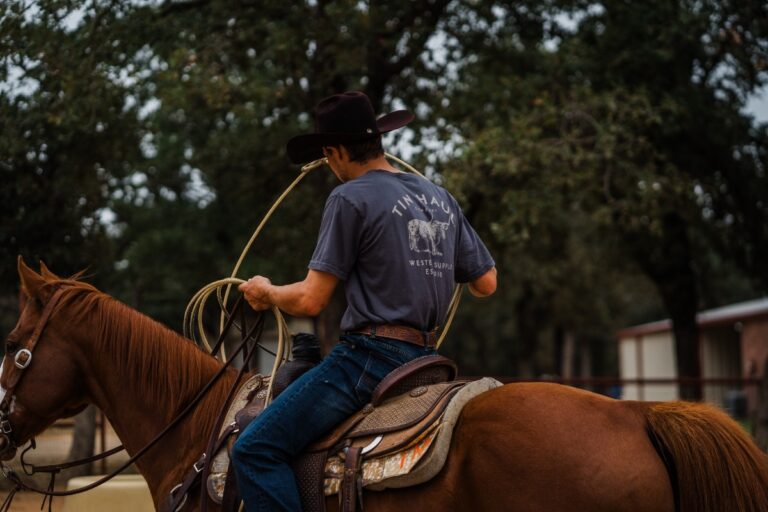 469579957 915182160747427 8244122523498674438 n 768x512