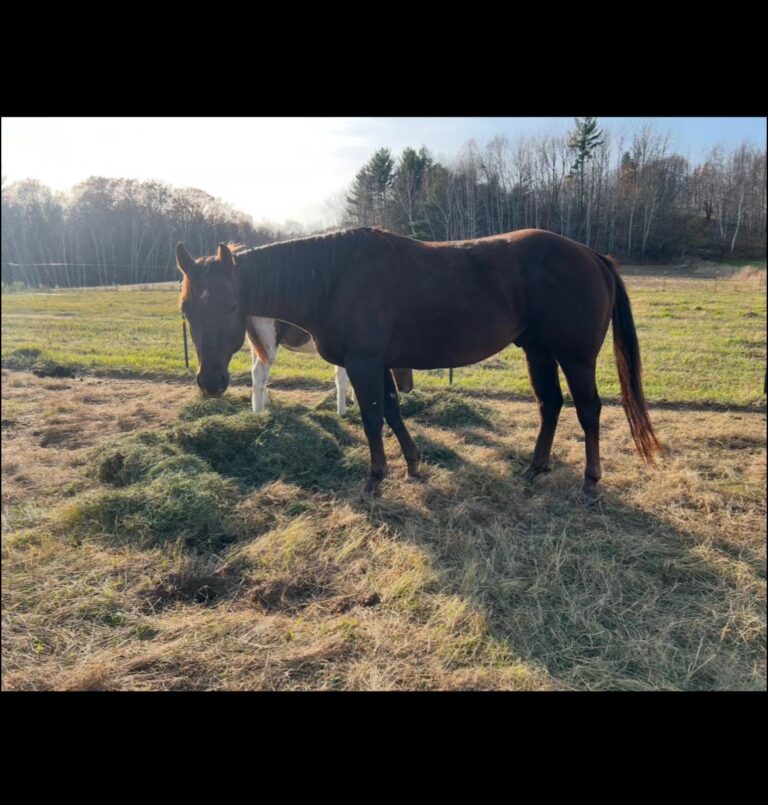 469677917 122128695590469018 8462081628838765484 n 768x805