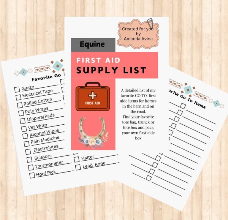 469828298 10212254305630660 8470068258567741531 n 768x741