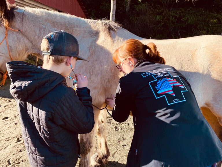 469884239 9075592915798480 6815190121493467291 n 768x576