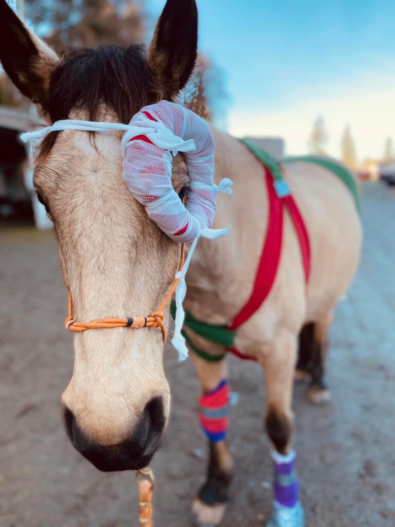 469978575 9075592945798477 3267124524243880120 n 768x1024