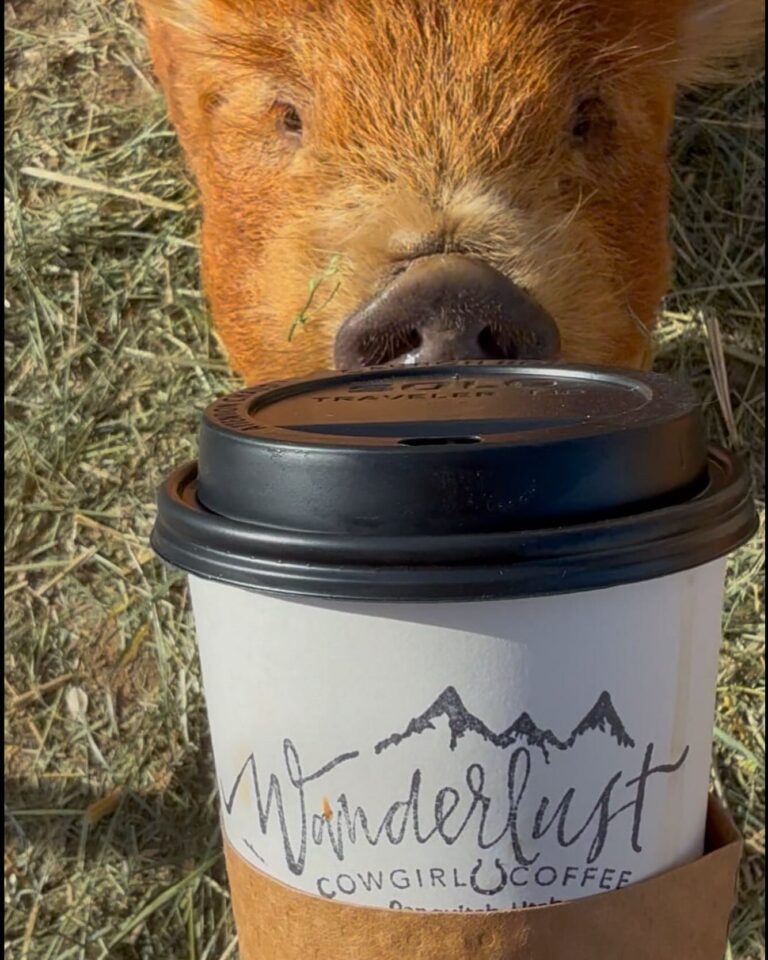 470489674 18367432984184724 907417516303303522 n 768x960