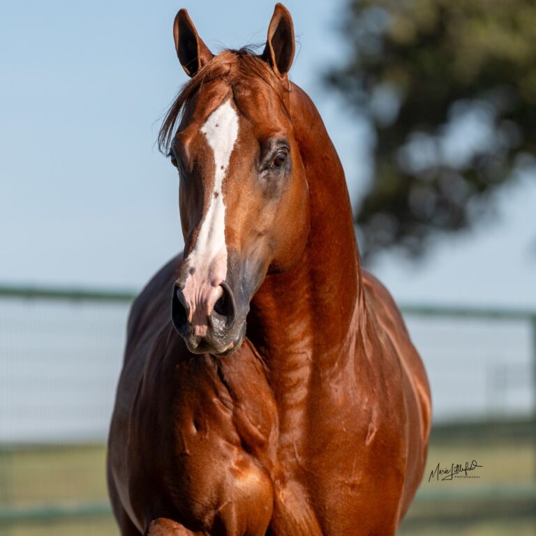 471229515 456763527474600 6441346783487343418 n 768x768