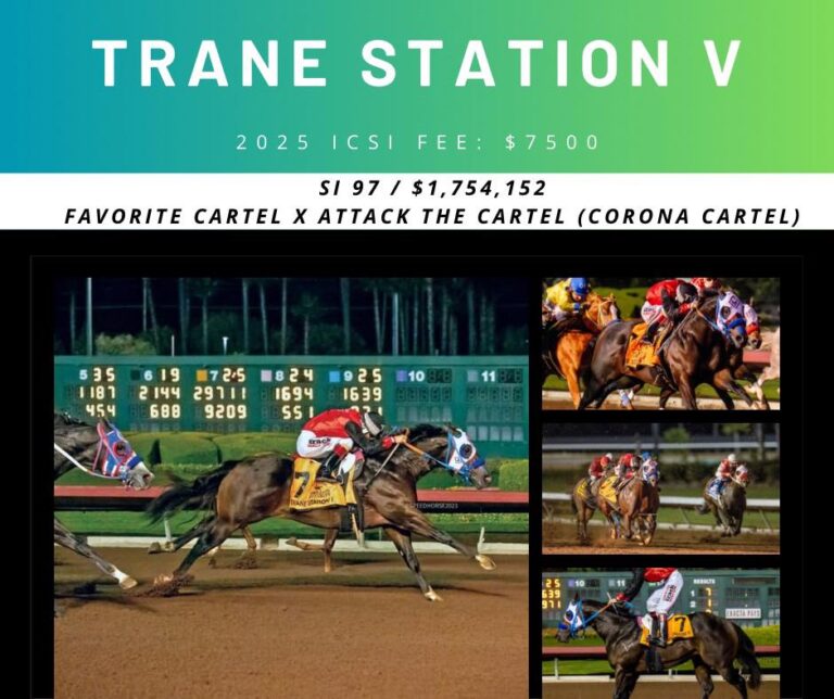 471256741 456788774138742 4377343848139828442 n 768x644