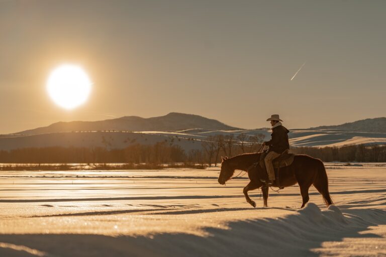 471581816 18480597937007957 4006677051430755226 n 768x512