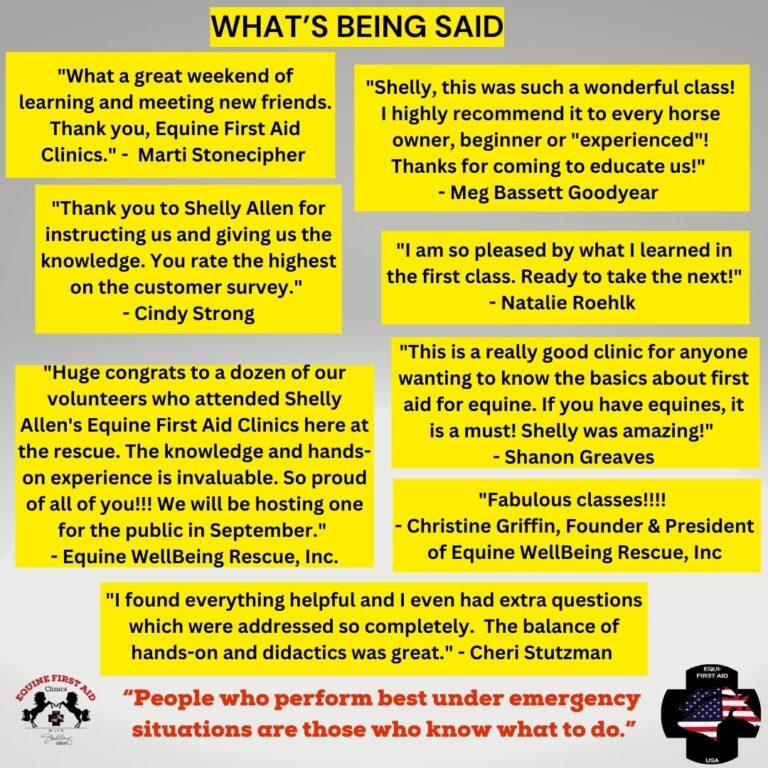 Attention 5 2 1 768x768