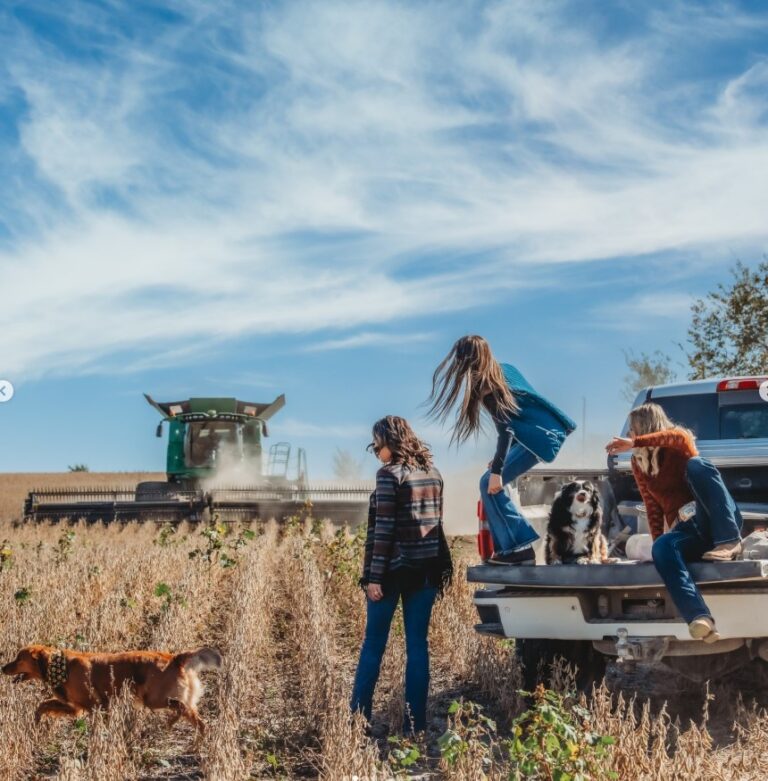 Little House Photography33 768x781