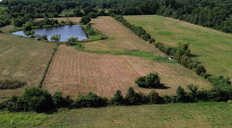 Screenshot 2024 08 07 164333 768x426