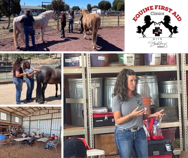 Teaching 2 2 768x644