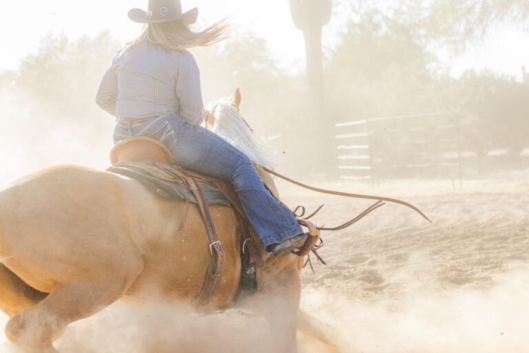 Tucson Equine Photographer 1 768x512