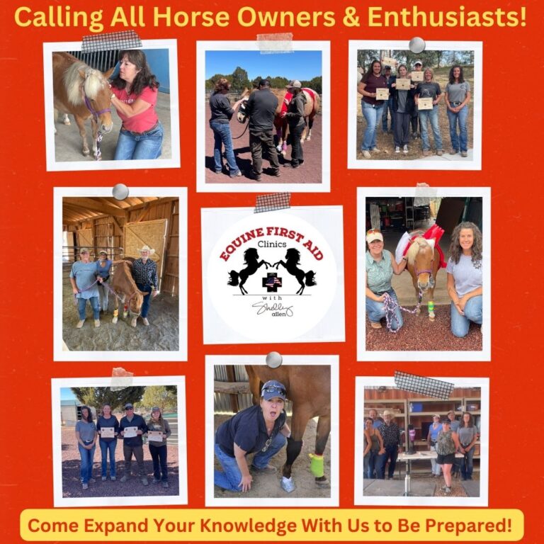 We are seeking passionate Horse Lovers who want to make a difference in the lives of horses and their humans by offering their space to Host an Equine First Aid Clinic 2 1 768x768