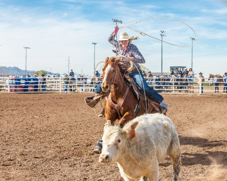 Art of the Cowgirl Rodeo Art of the Cowgirl Rodeo