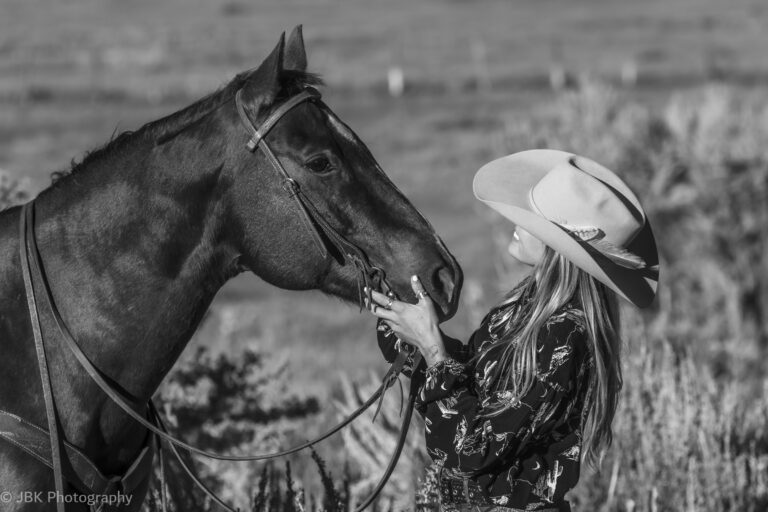 horse and rider horse and rider