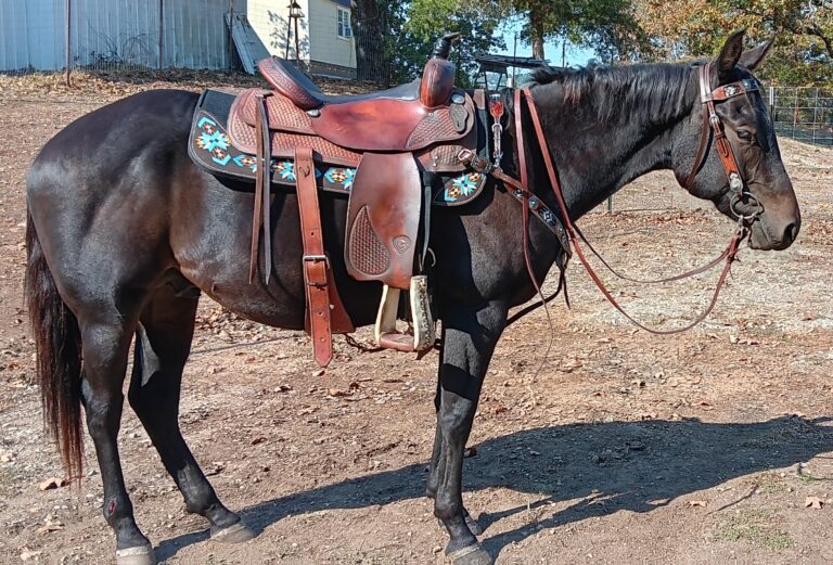 inbound6205643083189152083 768x521