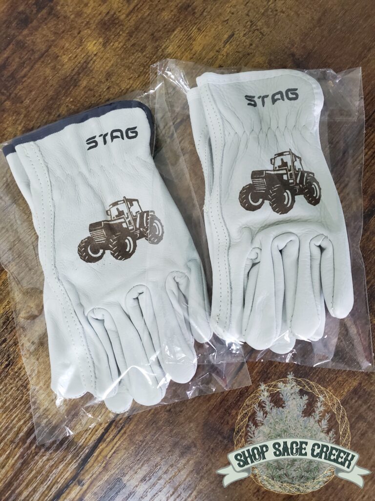 20241215 153505 768x1024