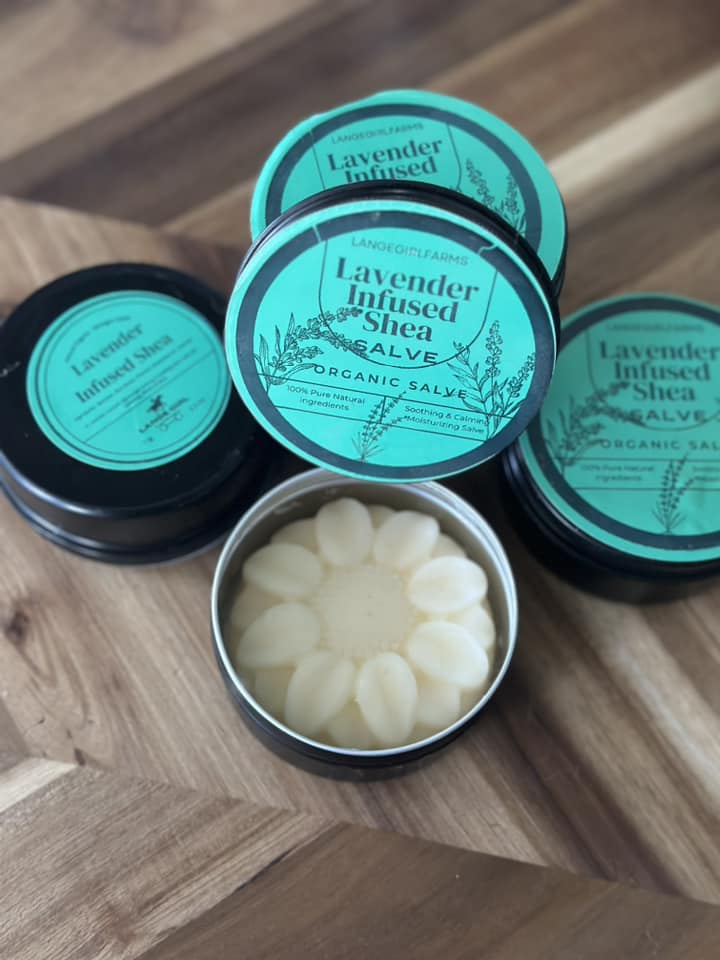 450109447 395337380221665 5960187084799318664 n