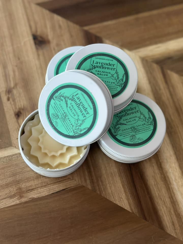 450575342 398864306535639 4552727420592395567 n