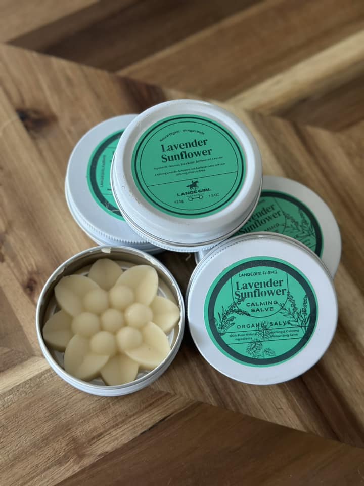 450863410 398864259868977 8350675093586517075 n