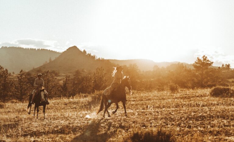 452646409 1258642561974086 55168589242127650 n 768x467