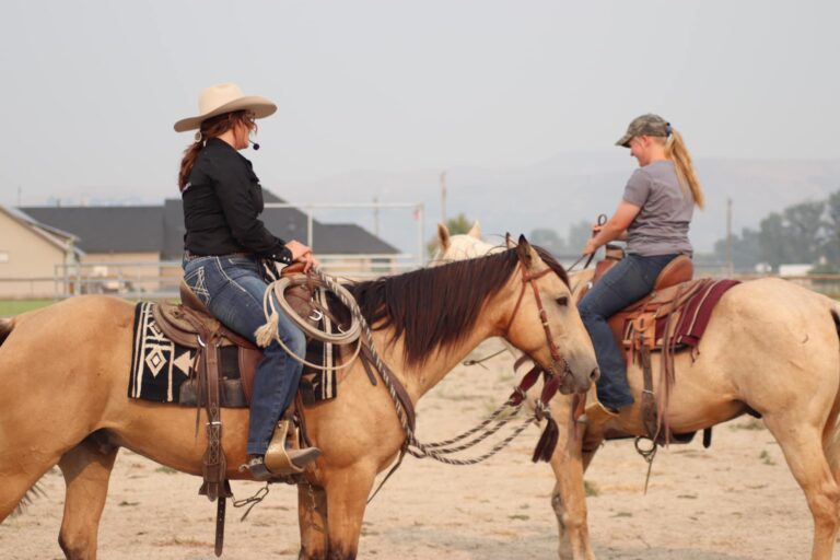 453029726 419090454489228 3944415094883141857 n 768x512