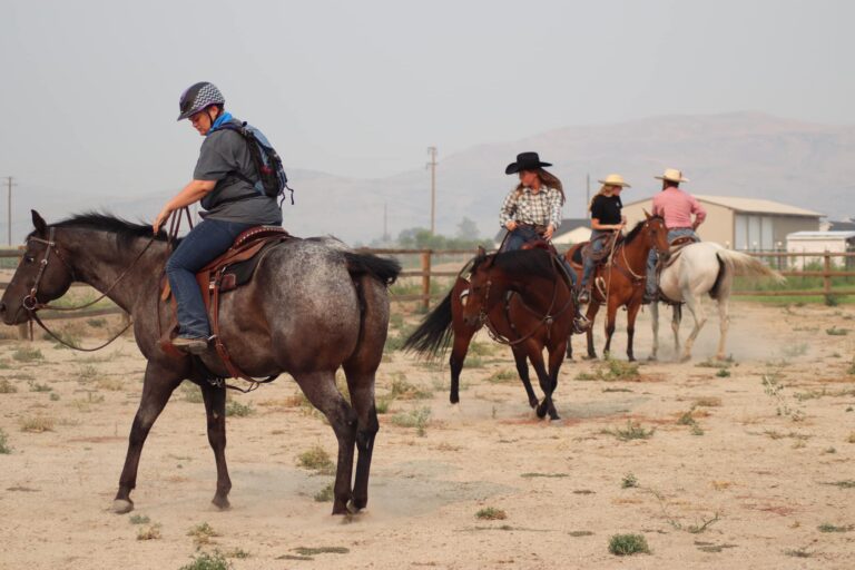 453097644 419090494489224 6214942626713109827 n 768x512